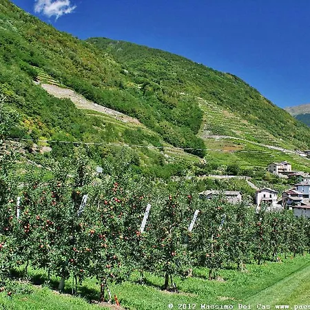 Rustico Cinzia 300s *